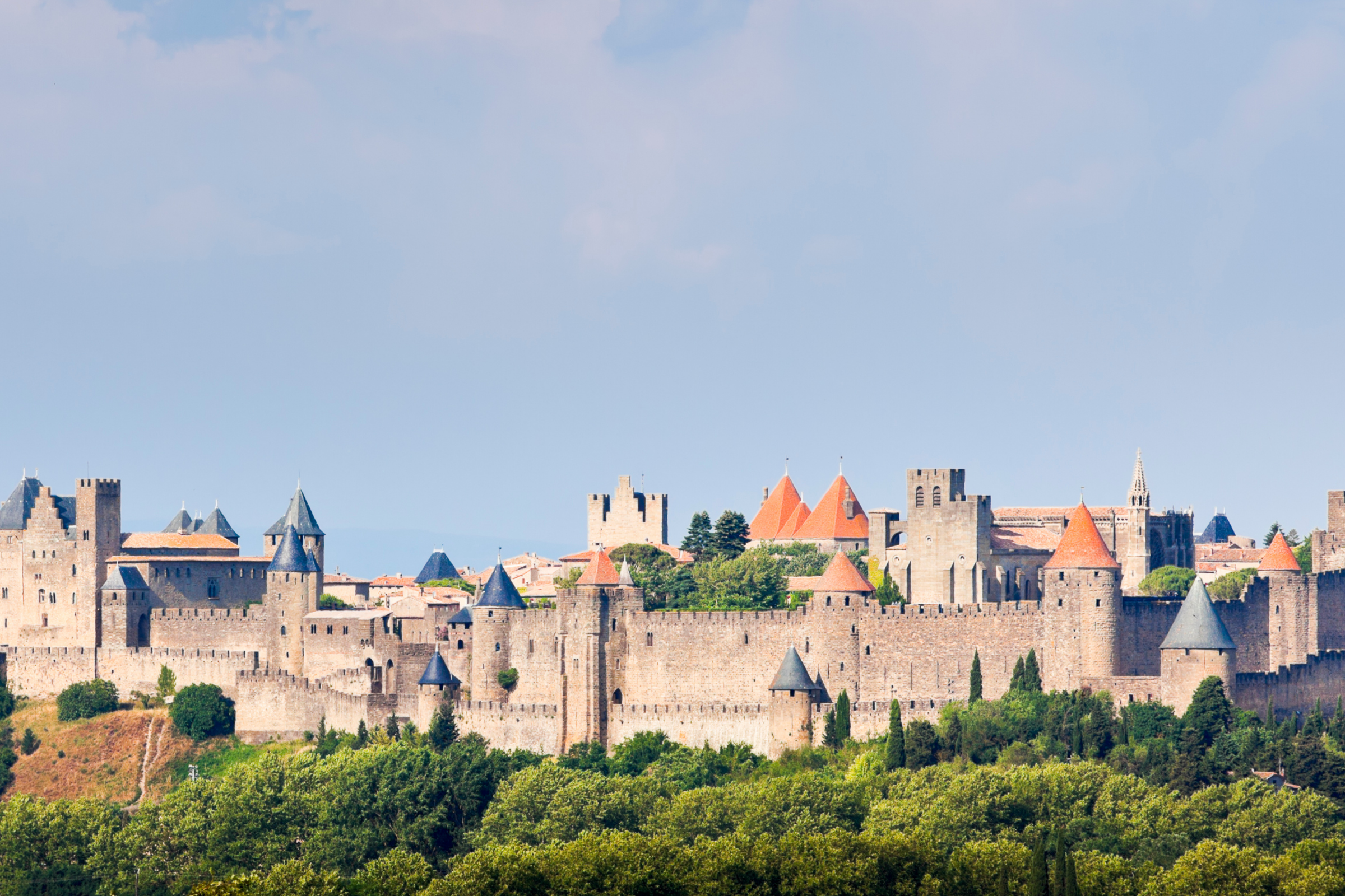 14 carcassonne.webp
